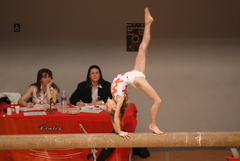 DSC00178.JPG DSC00178.JPG