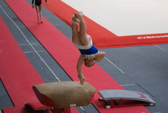 DSC00201.JPG