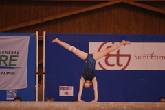 DSC00480.JPG DSC00480.JPG