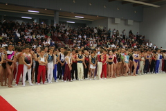 IMG_0470.JPG IMG_0470.JPG