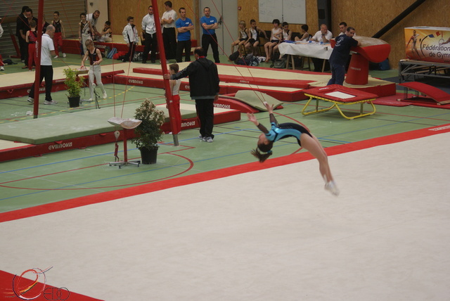 DSC02348.JPG