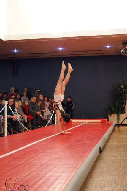 DSC04124