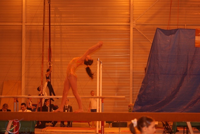 DSC02993