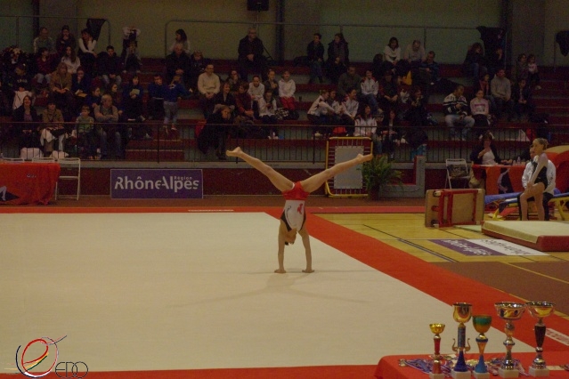 IMGP6339