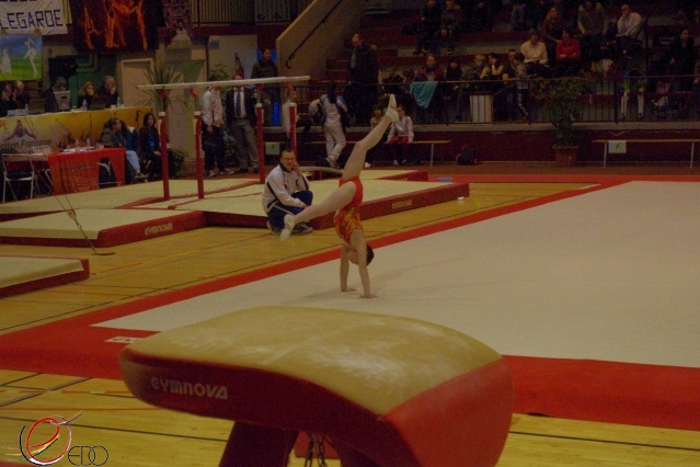IMGP6368