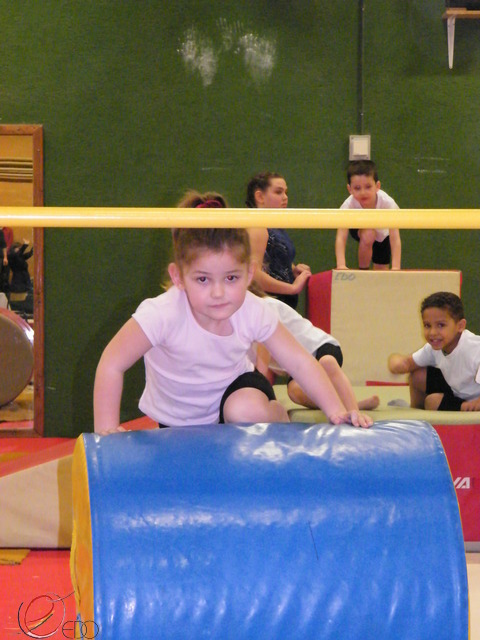 DSCF0260.jpg